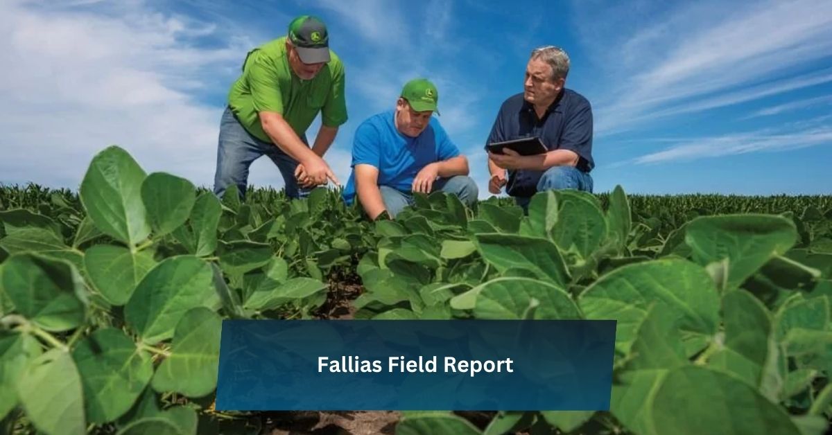 Fallias Field Report